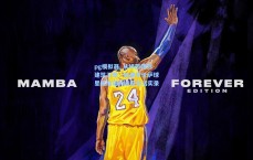 pg模拟器_从绿茵场到建筑工地，前佛罗伦萨球星里加诺的退役生活实录