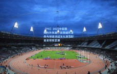 【PG】2025中超赛场内外风暴，肖像破坏事件与球迷训话文化激荡职业足球反思潮